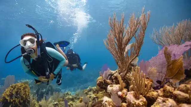 Ocean Tribe Dive Center Siargao