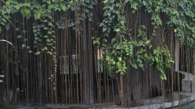 Prana Siargao Resort