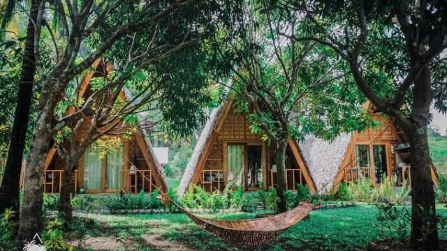 Triangle Palms Siargao