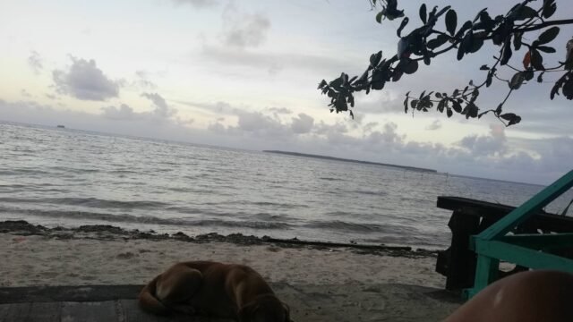 RDM Beach Resort