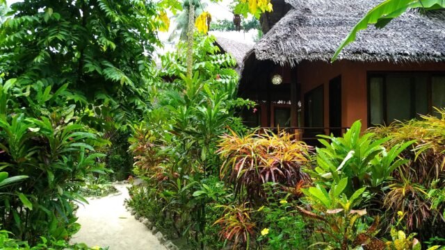 Villa Solaria Surf Resort