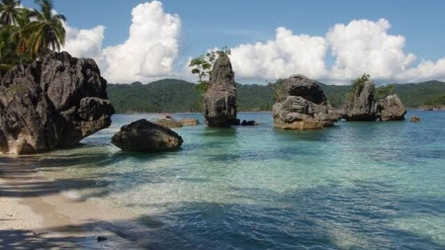 Siargao Divers Club