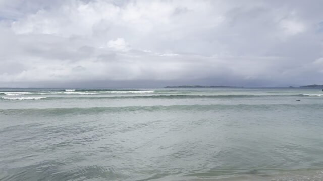 Kelvin Surf Guru
