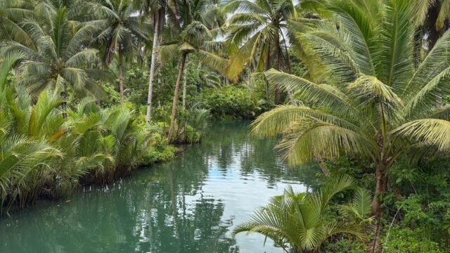siargaoislandtour