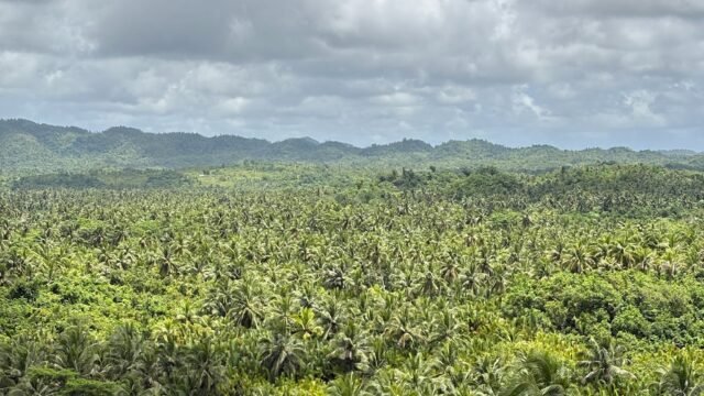 siargaoislandtour