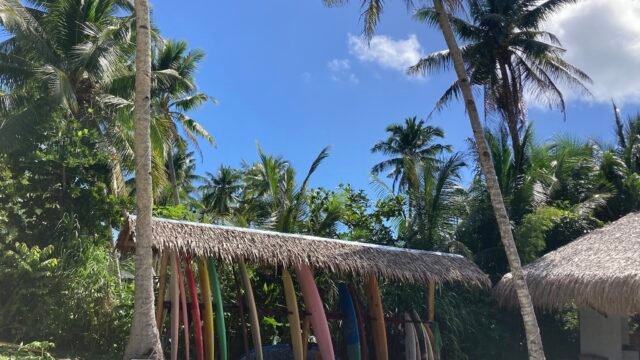 GIUSA Surf School - Bogskie Basher