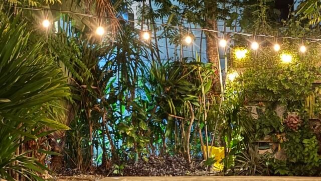 Lyma Siargao