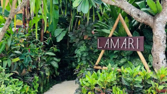 Lamari Siargao Boutique Hotel