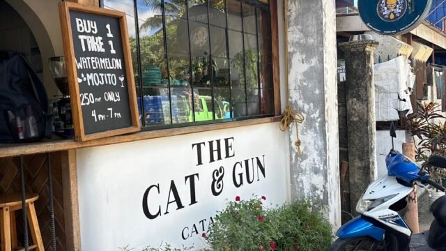 The Cat & Gun