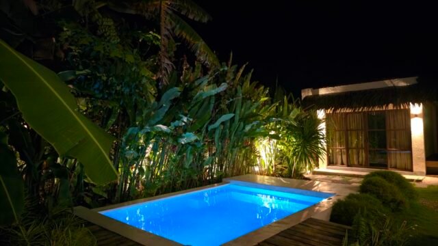 Single Fin Siargao
