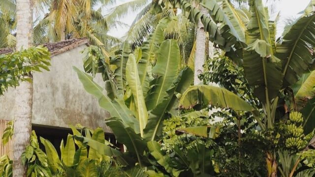 Payag Suites Siargao