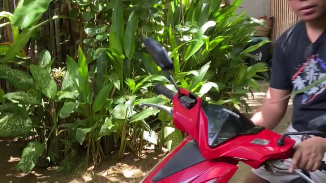 Coconut Home - Bungalows