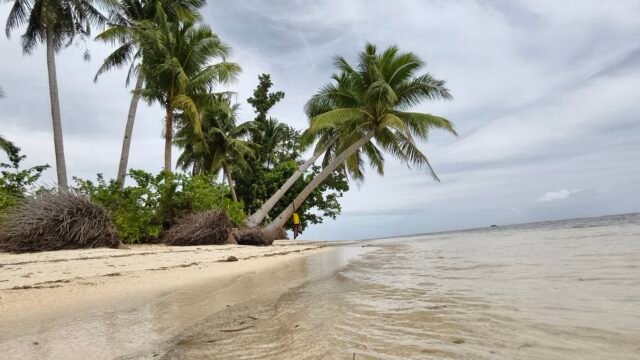 Malinao Beach