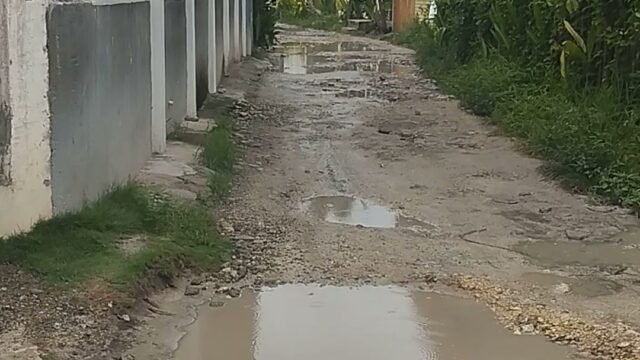 Back Road Motorbike Rental-GL