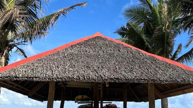 Siargao L&Y Jacking Horse Beginner'\''s Surf Shop