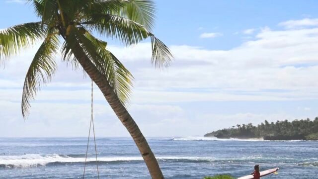 Chavalito Surf