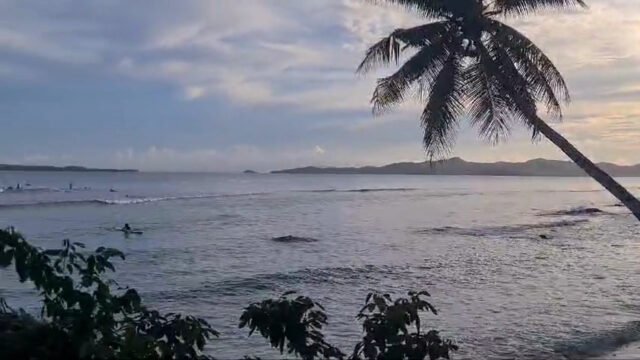 Jar Paradise Surf Spot