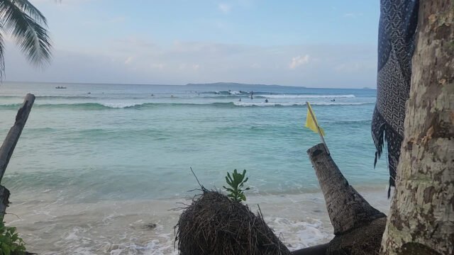 Jar Paradise Surf Spot