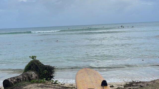 Jar Paradise Surf Spot