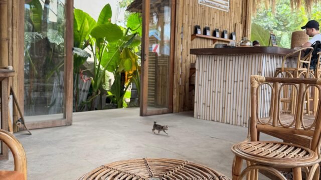 Bamboo Surf Cafe, Santa Fe