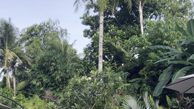 Kawayan Villa, Siargao