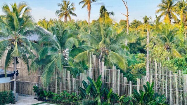 Rucksack Inn Siargao