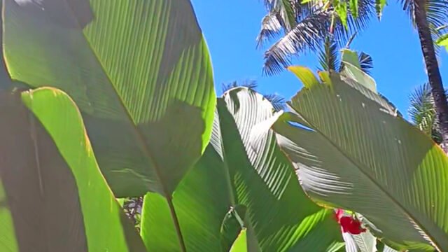 Kalipay Resort Siargao