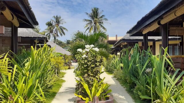 Jonas & Twins Resort