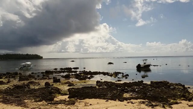 Jonas & Twins Resort