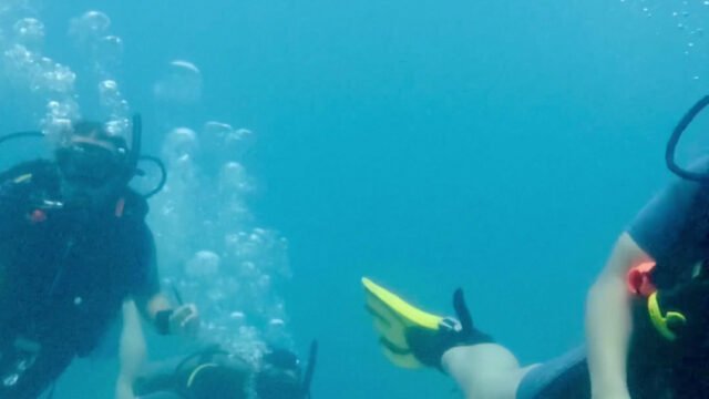 Palaka Siargao Dive Center