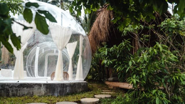 A clear bubble tent with white curtains sits in lush greenery beside a thatched-roof hut in Siargao.