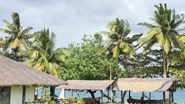 Thatched huts and palm trees by the Siargao sea under a cloudy sky, with green grass in the foreground.