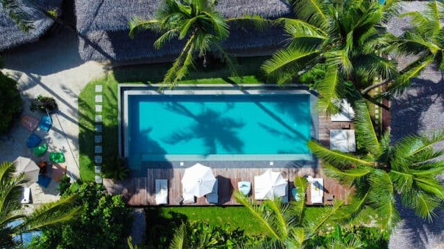 Aerial view of a rectangular pool in Siargao, surrounded by palm trees, lounge chairs, and sun umbrellas.