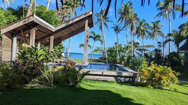 A tropical Siargao poolside scene with lush plants, palm trees, and an ocean view under a clear blue sky.