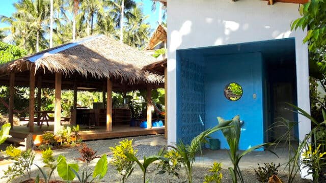 A tropical open-air hut and a blue-walled building in Siargao, surrounded by palm trees and a lush garden.