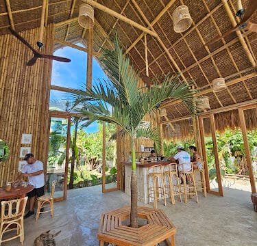 Open-air café in Siargao with bamboo decor, a palm tree centerpiece, and people relaxing at tables and the bar.