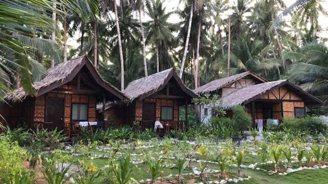 Three thatched-roof cottages surrounded by palm trees and lush greenery in a tropical Siargao setting.