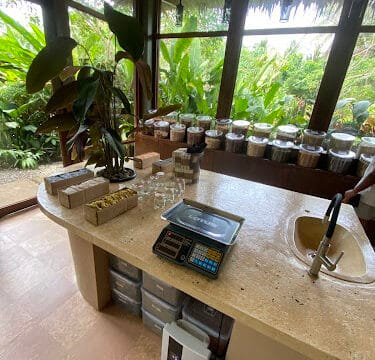 A countertop with a scale, sink, boxes, glass jars, and lush Siargao greenery visible through large windows.
