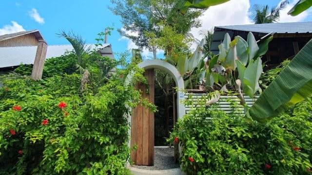 A wooden door with an arched white frame in Siargao, surrounded by lush green plants and red flowers under a blue sky.
