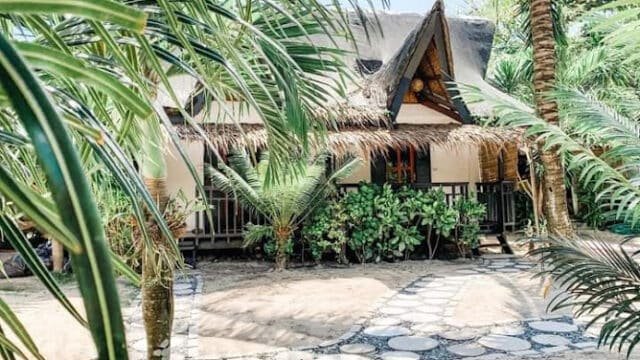 A tropical Siargao bungalow with a thatched roof, surrounded by palm trees and lush greenery, stone path leading up.