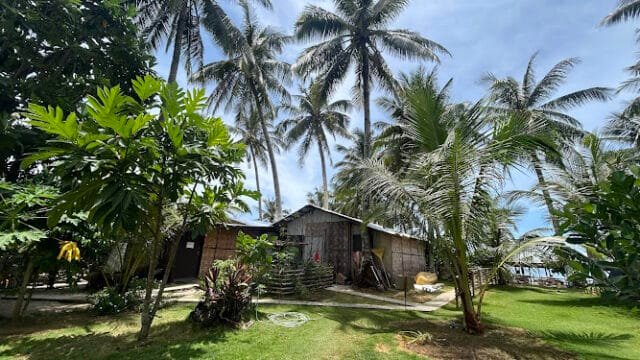 A rustic wooden house in Siargao, surrounded by palm trees and lush greenery under a partly cloudy sky.