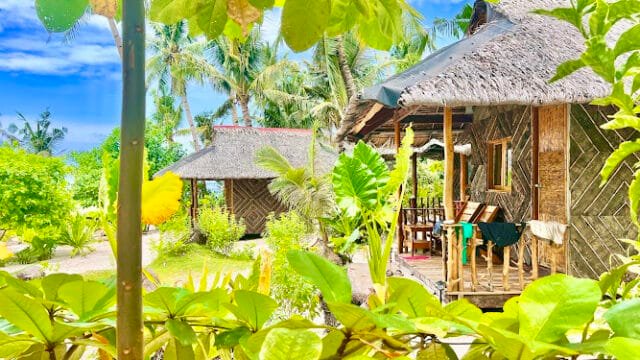 Tropical beach huts with thatched roofs in Siargao, surrounded by lush green plants and palm trees under a bright blue sky.
