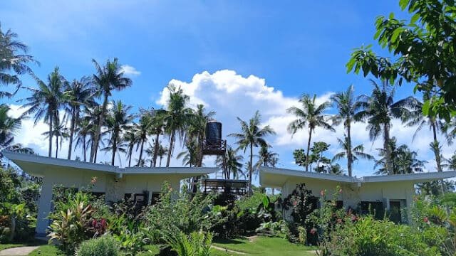 Modern white building in Siargao with a lush tropical garden, palm trees, and a blue sky dotted with fluffy clouds.