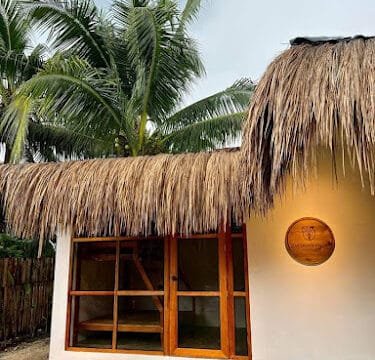 A small white building with a thatched roof and wooden door, set beneath a palm tree in picturesque Siargao.