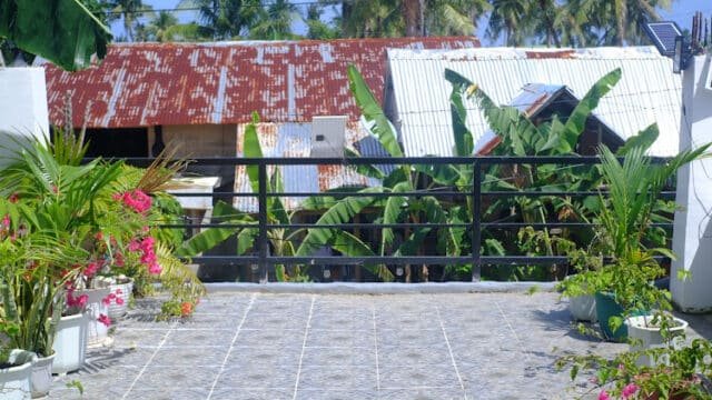 Sunny patio with potted plants, black railing, and tin-roofed Siargao houses with palm trees in the background.