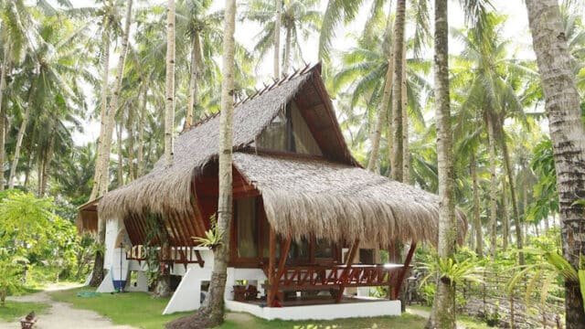 A thatched-roof hut surrounded by tall palm trees in tropical Siargao, with sunlight gently filtering through.
