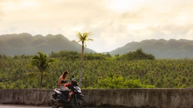 Coconut palm tree lined road in Maasin Siargao