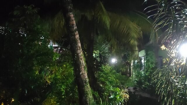 Eddies Beach Resort Siargao