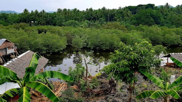 Grotto Gardens Homestay