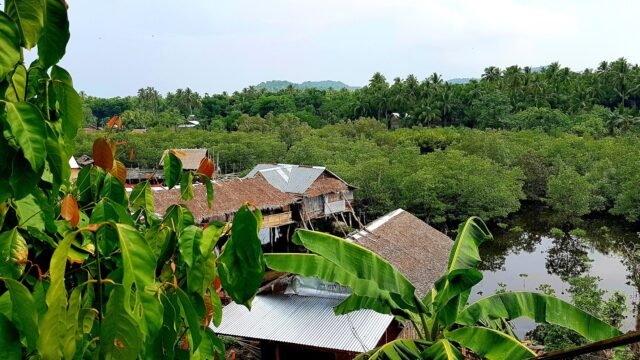 Grotto Gardens Homestay